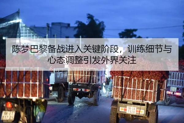 陈梦巴黎备战进入关键阶段，训练细节与心态调整引发外界关注